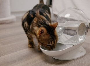 Automātiskā dzirdne dzīvniekiem : Placek Cat Epic Pet Aqua ball water dispenser 2.8l| 30cm cena un informācija | Bļodas, kastes pārtikas | 220.lv