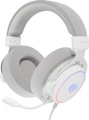 Genesis Neon 764 White (NSG-2170) cena un informācija | Austiņas | 220.lv