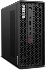 Lenovo ThinkStation P3 Ultra SFF (30HA001AGE) cena un informācija | Stacionārie datori | 220.lv