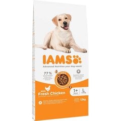 Iams for Vitality Adult pieaugušiem lielo šķirņu suņiem, ar vistas gaļu, 12 kg цена и информация | Сухой корм для собак | 220.lv