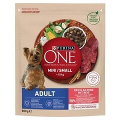 Purina One pieaugušiem mazu šķirņu suņiem ar liellopu gaļu un rīsiem, 800 g cena un informācija | Konservi suņiem | 220.lv