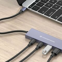 Conceptronic HUBBIES13G cena un informācija | Adapteri un USB centrmezgli | 220.lv