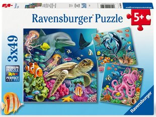 ravensburger puzzle 3x49 gab jūras dzīvnieki cena un informācija | Puzles, 3D puzles | 220.lv