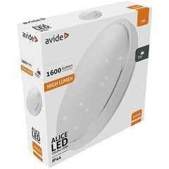 Avide LED griestu lampa Alice 18W 4000K IP44 cena un informācija | Griestu lampas | 220.lv