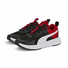 Sieviešu sporta apavi Puma Evolve Run Mesh цена и информация | Спортивная обувь для женщин | 220.lv