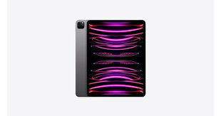 Apple iPad Pro 12.9" (2022) 256GB WiFi (Klase A+ (Ideāls stāvoklis, lietots)) cena un informācija | Planšetdatori | 220.lv