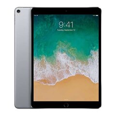 Apple iPad Pro 9.7" (2016) 128GB WiFi (Klase A (Ļoti labs stāvoklis, lietots)) cena un informācija | Planšetdatori | 220.lv