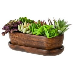 Ziedu podiņš Ziedu trauks Ovāls paliktnis Bonsai Kaktusi Sukulenti Brūns 29 cm cena un informācija | Puķu podi | 220.lv