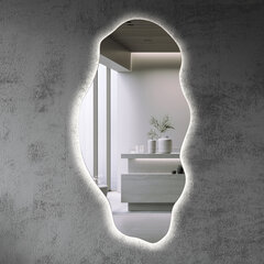 Spogulis LED Tulup, 40x80 cm, sudraba cena un informācija | Spoguļi | 220.lv
