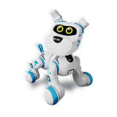 XTREM BOTS Interaktīvais robots Bobby cena un informācija | Smilšu kastes, smiltis | 220.lv