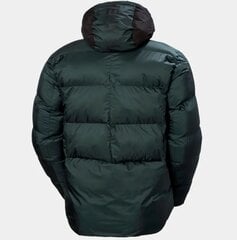 Мужская куртка Helly Hansen, темно-зеленая цена и информация | Мужские куртки | 220.lv