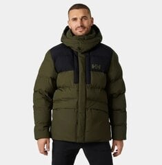 Мужская куртка Helly Hansen, хаки цена и информация | Мужские куртки | 220.lv