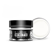 PALU BUILDING GEL WHITE 15 g цена и информация | Лаки для ногтей, укрепители | 220.lv