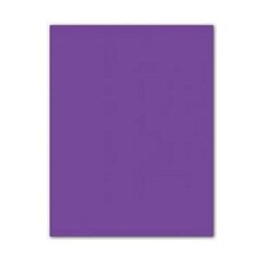 Kārtis Iris Violets 185 g (50 x 65 cm) (25 gb.) cena un informācija | Burtnīcas un papīra preces | 220.lv