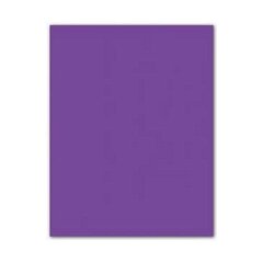 Картонная бумага Iris Фиолетовый 185 g (50 x 65 cm) (25 штук) цена и информация | Тетради и бумажные товары | 220.lv