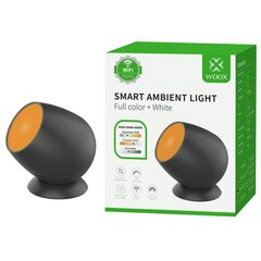 Smart LED lampa - reflektors, RGB WiFi R5145 WOOX cena un informācija | Lukturi | 220.lv