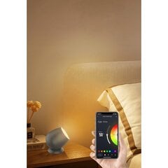 Smart LED lampa - reflektors, RGB WiFi R5145 WOOX цена и информация | Фонарики | 220.lv