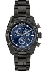 часы versace ve2i00521 цена и информация | Мужские часы | 220.lv