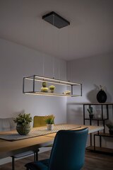 Piekaramā lampa Contura цена и информация | Люстры | 220.lv