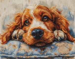 Izšūšanas komplekti "Kokerspaniels" 32x25cm SBU5058 Luca-S cena un informācija | Izšūšanas piederumi | 220.lv