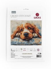 Izšūšanas komplekti "Kokerspaniels" 32x25cm SBU5058 Luca-S cena un informācija | Izšūšanas piederumi | 220.lv