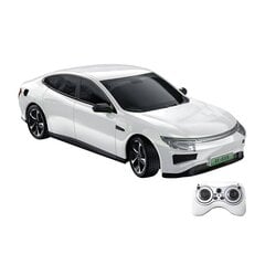 Remote control RC car 1:16 Double Eagle (white) Electric car E725-003 цена и информация | Игрушки для мальчиков | 220.lv