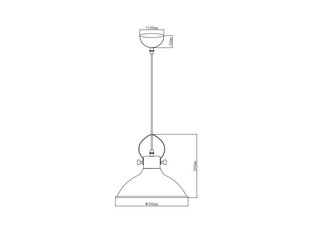 Piekaramā lampa MEES, 30 cm, balta 2332 cena un informācija | Lustras | 220.lv