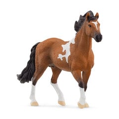 SCHLEICH HORSE CLUB Mangalarga Marchador šķirnes ērzelis cena un informācija | Smilšu kastes, smiltis | 220.lv