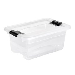 Коробка с крышкой Crystalbox Cornelia 29,5x19,5x12,5см 4л прозрачная цена и информация | Ящики для вещей | 220.lv