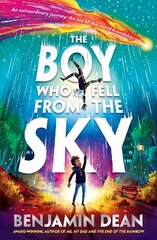 Boy Who Fell From the Sky цена и информация | Книги для подростков и молодежи | 220.lv