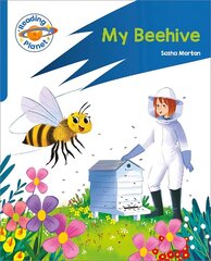 Reading Planet: Rocket Phonics Target Practice - My Beehive - Blue цена и информация | Книги для подростков и молодежи | 220.lv