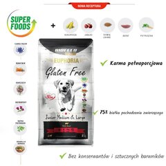 Biofeed Euphoria Gluten Free jauniem, vidēju un lielu šķirņu kucēniem ar liellopu gaļu, 2 kg cena un informācija | Sausā barība suņiem | 220.lv