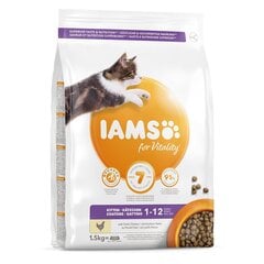 Iams kaķu kaķēns jauniem kaķēniem ar vistu, 1,5 kg cena un informācija | Sausā barība kaķiem | 220.lv