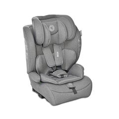 Автомобильное кресло Lorelli Rio Isofix, 9-25 кг, grey цена и информация | Автокресла | 220.lv