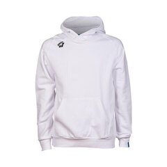 Sporta jaka unisex Arena Team Hooded Sweat Panel, balta cena un informācija | Sporta apģērbs vīriešiem | 220.lv