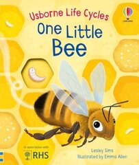 One Little Bee cena un informācija | Bērnu grāmatas | 220.lv