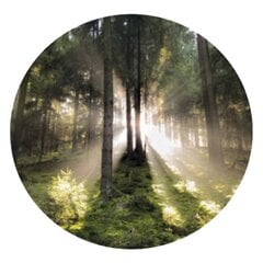 "Qult Senses of Nature – EARTH” - Smaržīgās sveces stiklā ar koka vāku - "Nordic Trees" cena un informācija | Sveces un svečturi | 220.lv