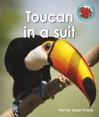 Toucan in a suit цена и информация | Книги для подростков и молодежи | 220.lv