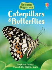 Caterpillars and Butterflies цена и информация | Книги для подростков и молодежи | 220.lv