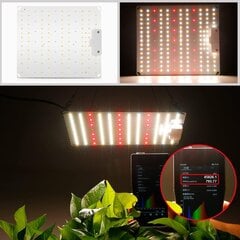 InnoGear P-5 LED Лампа для растений цена и информация | Проращиватели, лампы для растений | 220.lv
