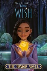 Disney Wish: The Junior Novel cena un informācija | Grāmatas pusaudžiem un jauniešiem | 220.lv