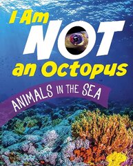 I Am Not an Octopus: Animals in the Ocean cena un informācija | Grāmatas pusaudžiem un jauniešiem | 220.lv