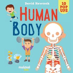 Human Body цена и информация | Книги для самых маленьких | 220.lv