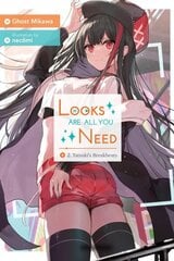 Looks Are All You Need, Vol. 2 цена и информация | Фантастика, фэнтези | 220.lv