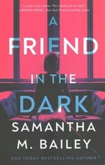 Friend in the Dark цена и информация | Фантастика, фэнтези | 220.lv