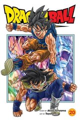 Dragon Ball Super, Vol. 20 цена и информация | Фантастика, фэнтези | 220.lv