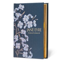 Jane Eyre cena un informācija | Fantāzija, fantastikas grāmatas | 220.lv