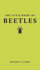 Little Book of Beetles цена и информация | Книги о питании и здоровом образе жизни | 220.lv