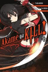 Akame ga Kill!, Vol. 13 цена и информация | Фантастика, фэнтези | 220.lv