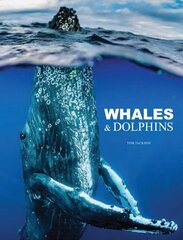 Whales & Dolphins cena un informācija | Grāmatas par veselīgu dzīvesveidu un uzturu | 220.lv